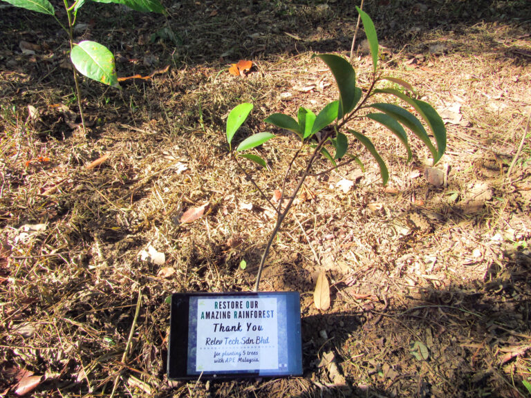 2022 05 relev tech sdn bhd tree photo 1 (1)